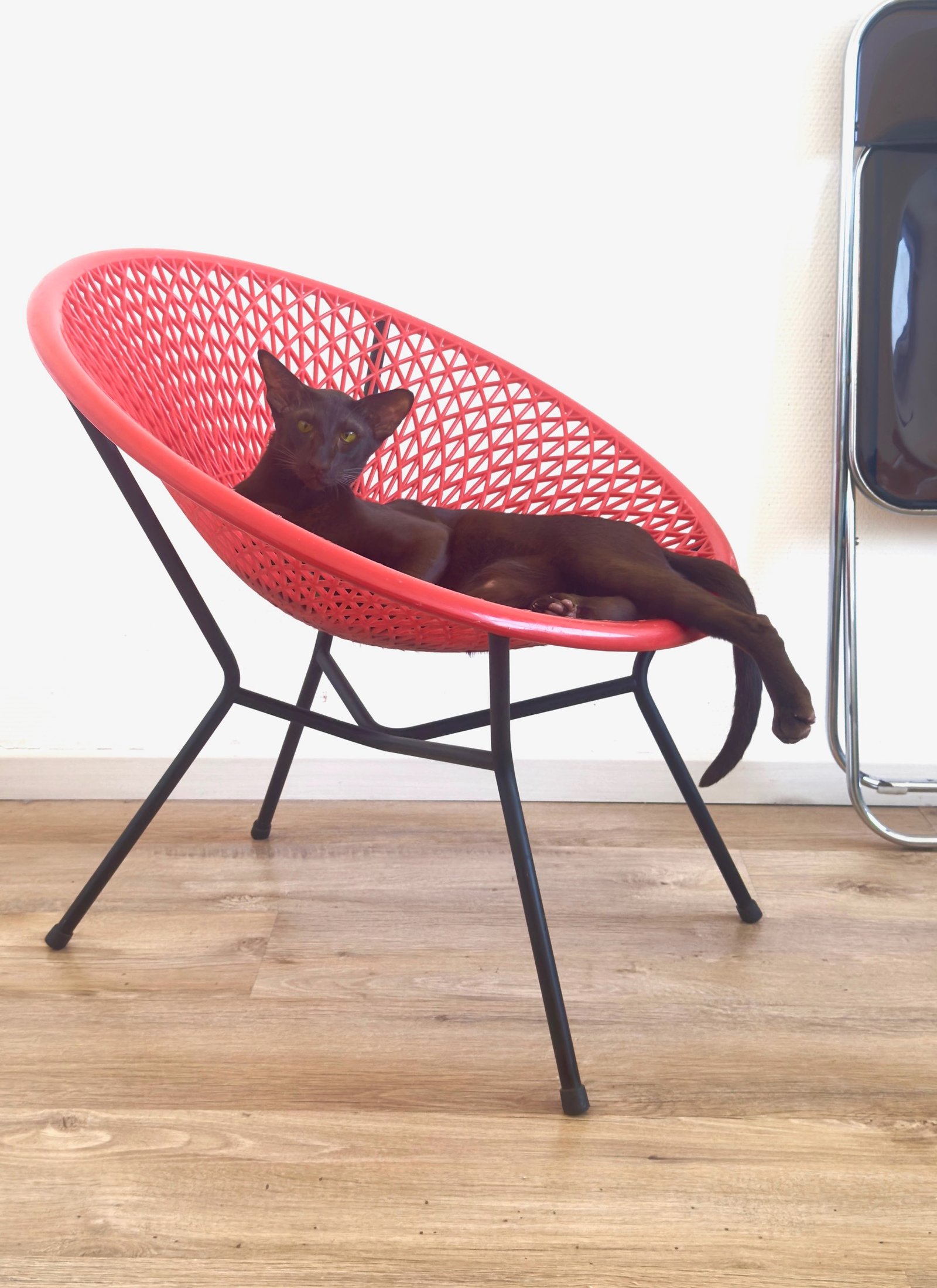 Fauteuil Fantasia rouge et noir, année 60 . Jaune safran